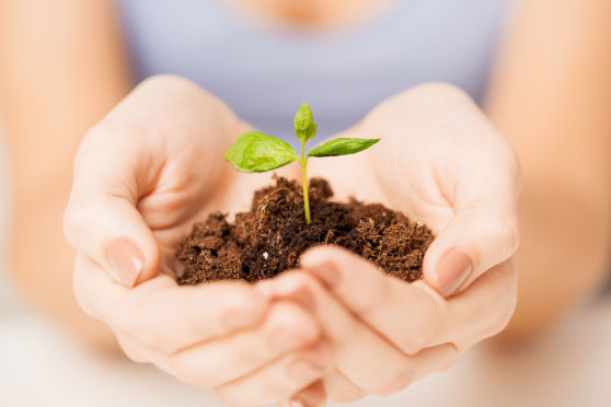 Környezetbarát megoldások - Abgreen Kft. Budapest